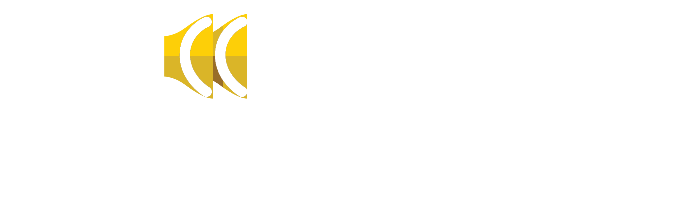 logo Lyriccentrum Drenthe